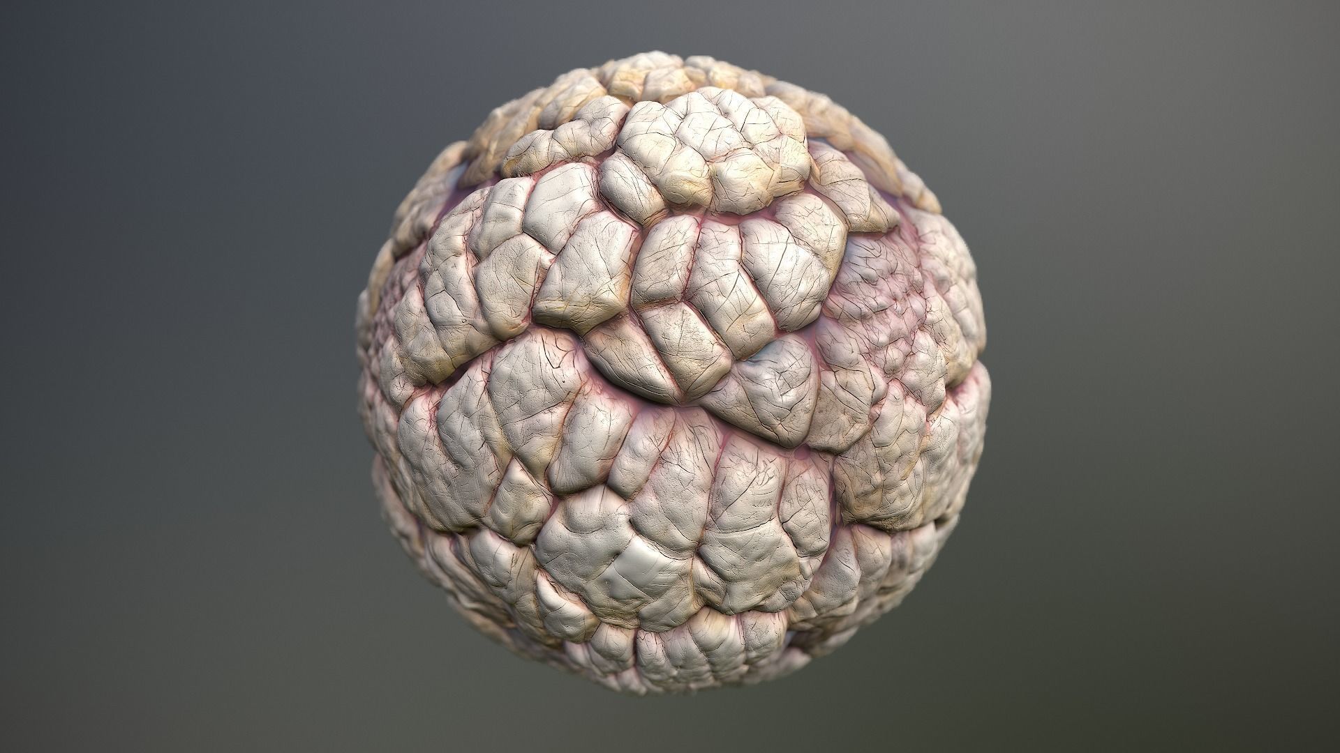 Material Skin Monster 40 Seamless PBR Texture Texture | CGTrader