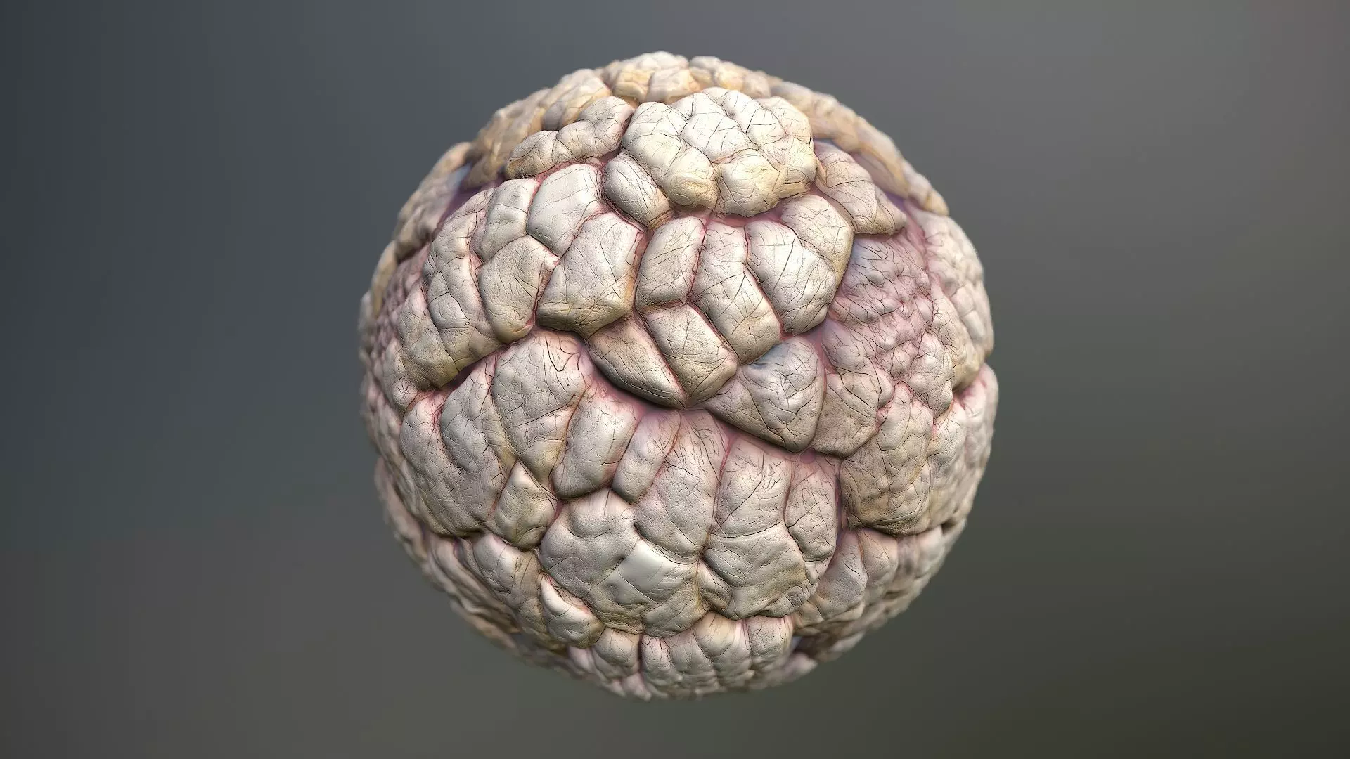 Material Skin Monster 40 Seamless PBR Texture Texture_0