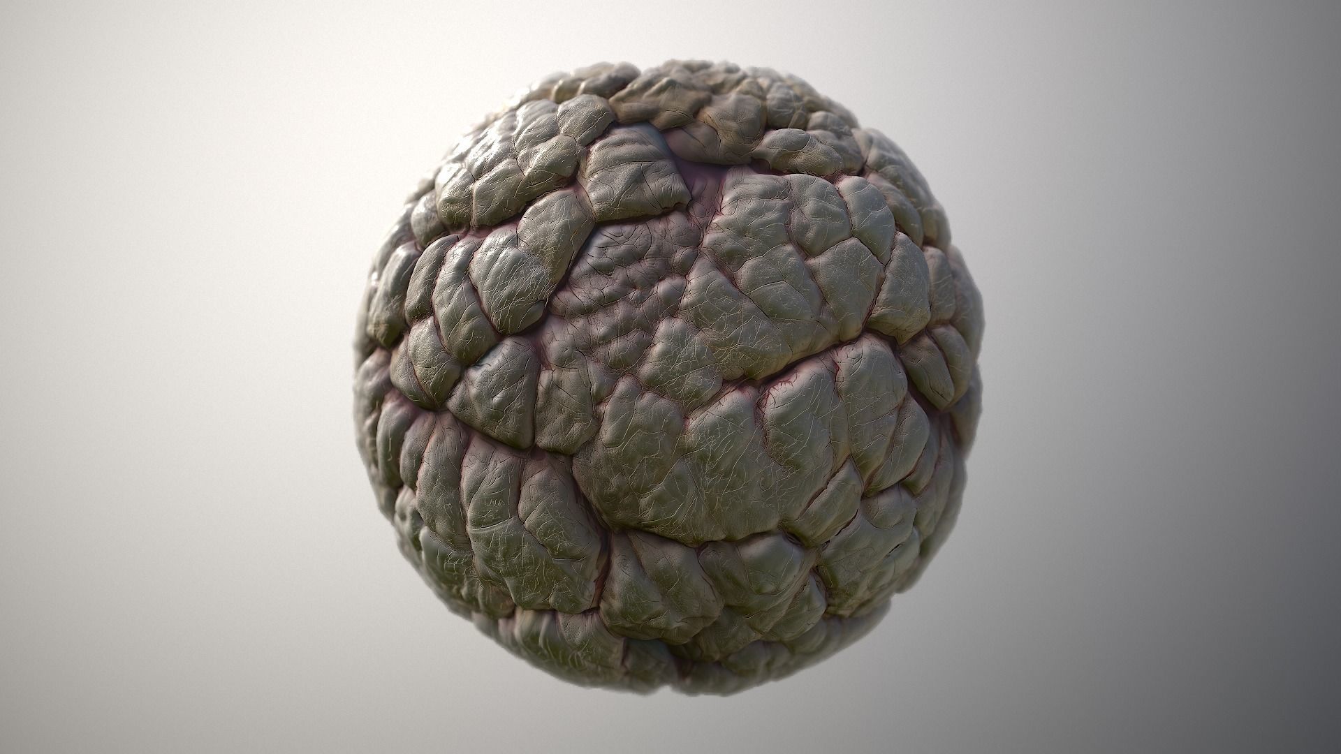 Material Skin Monster 40 Seamless PBR Texture Texture_5