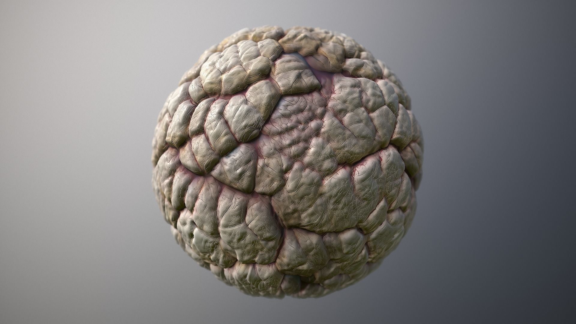 Material Skin Monster 40 Seamless PBR Texture Texture_7