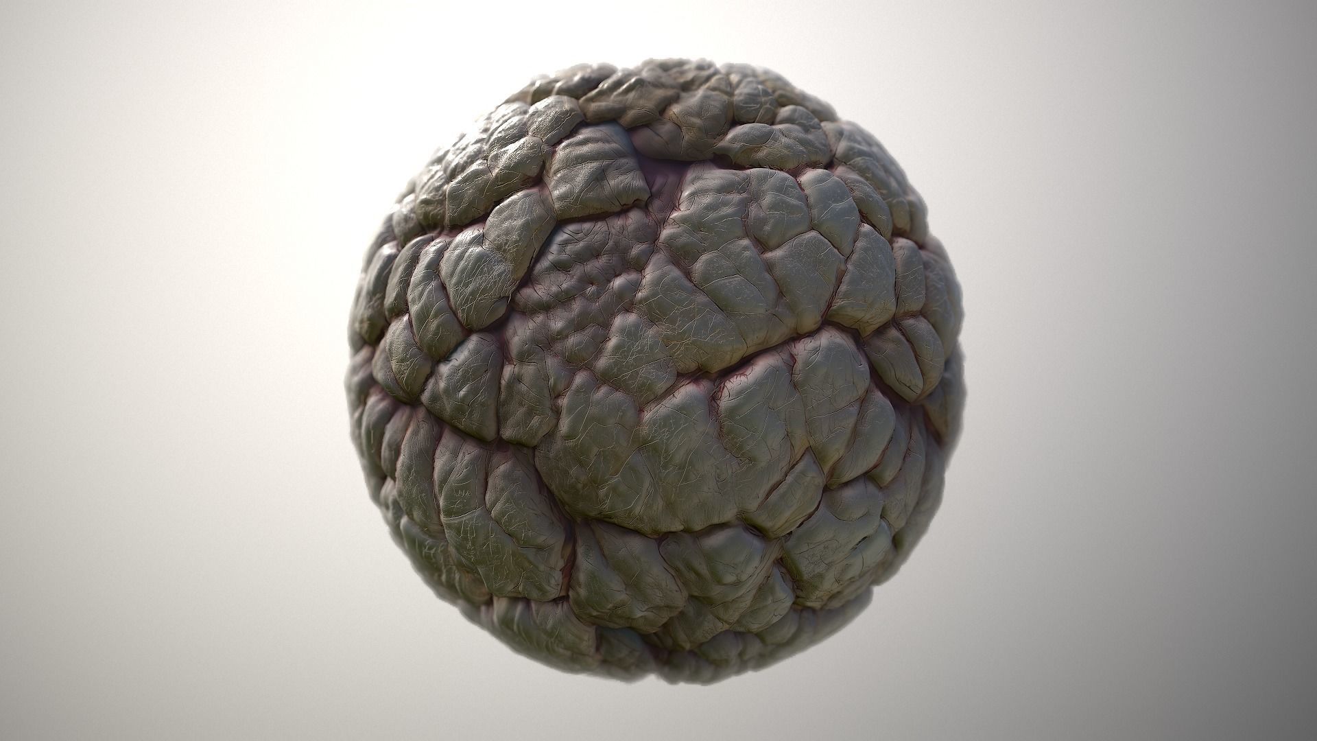 Material Skin Monster 40 Seamless PBR Texture Texture_4