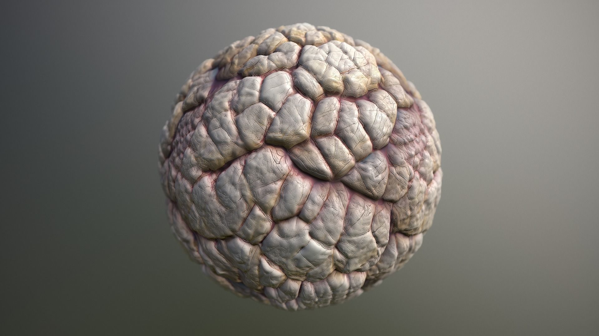 Material Skin Monster 40 Seamless PBR Texture Texture_15