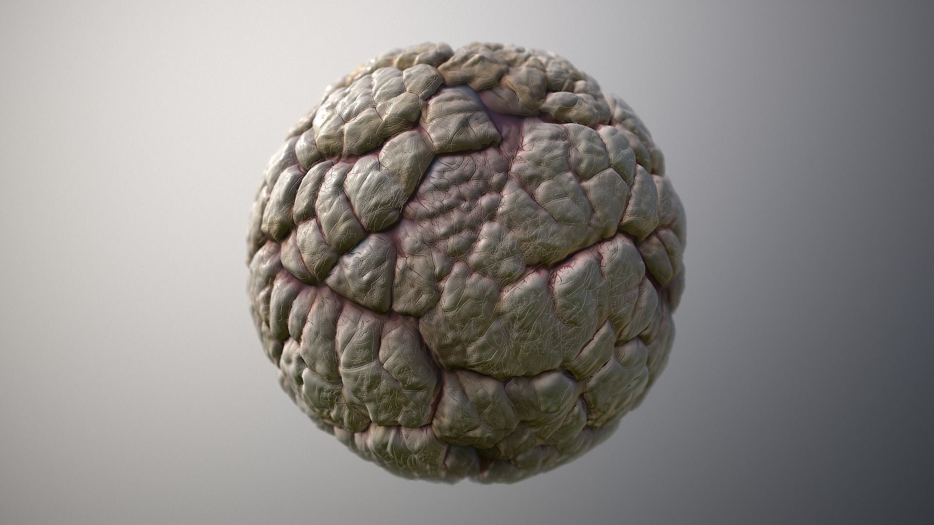 Material Skin Monster 40 Seamless PBR Texture Texture_6