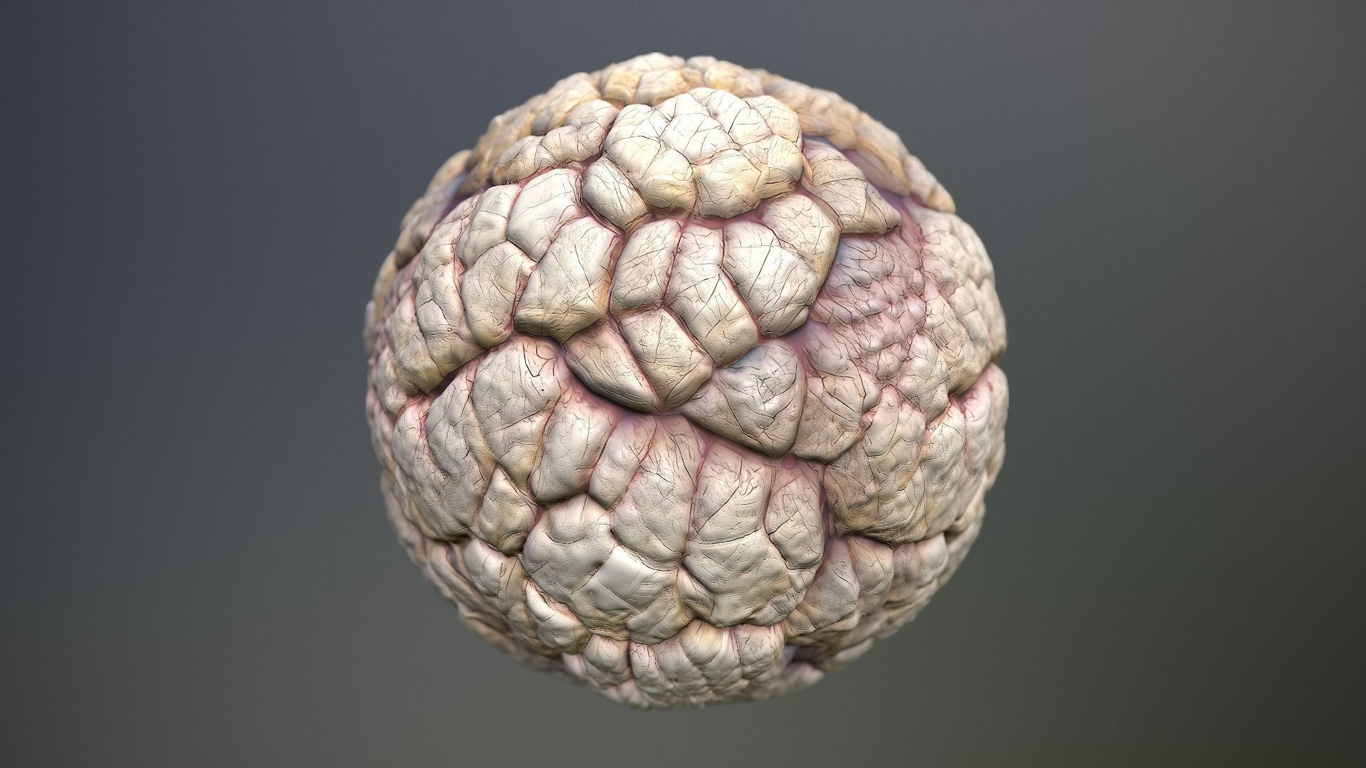 Material Skin Monster 40 Seamless PBR Texture Texture_14