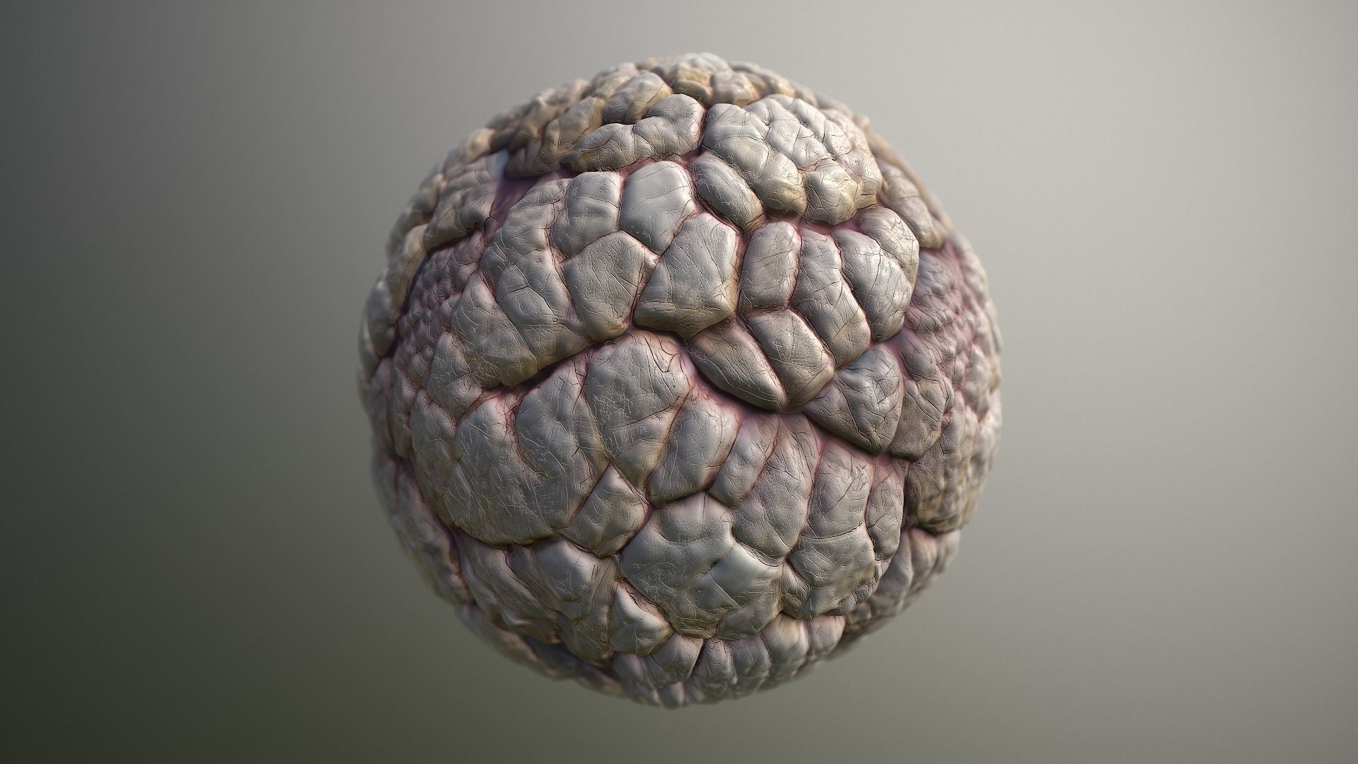 Material Skin Monster 40 Seamless PBR Texture Texture_16