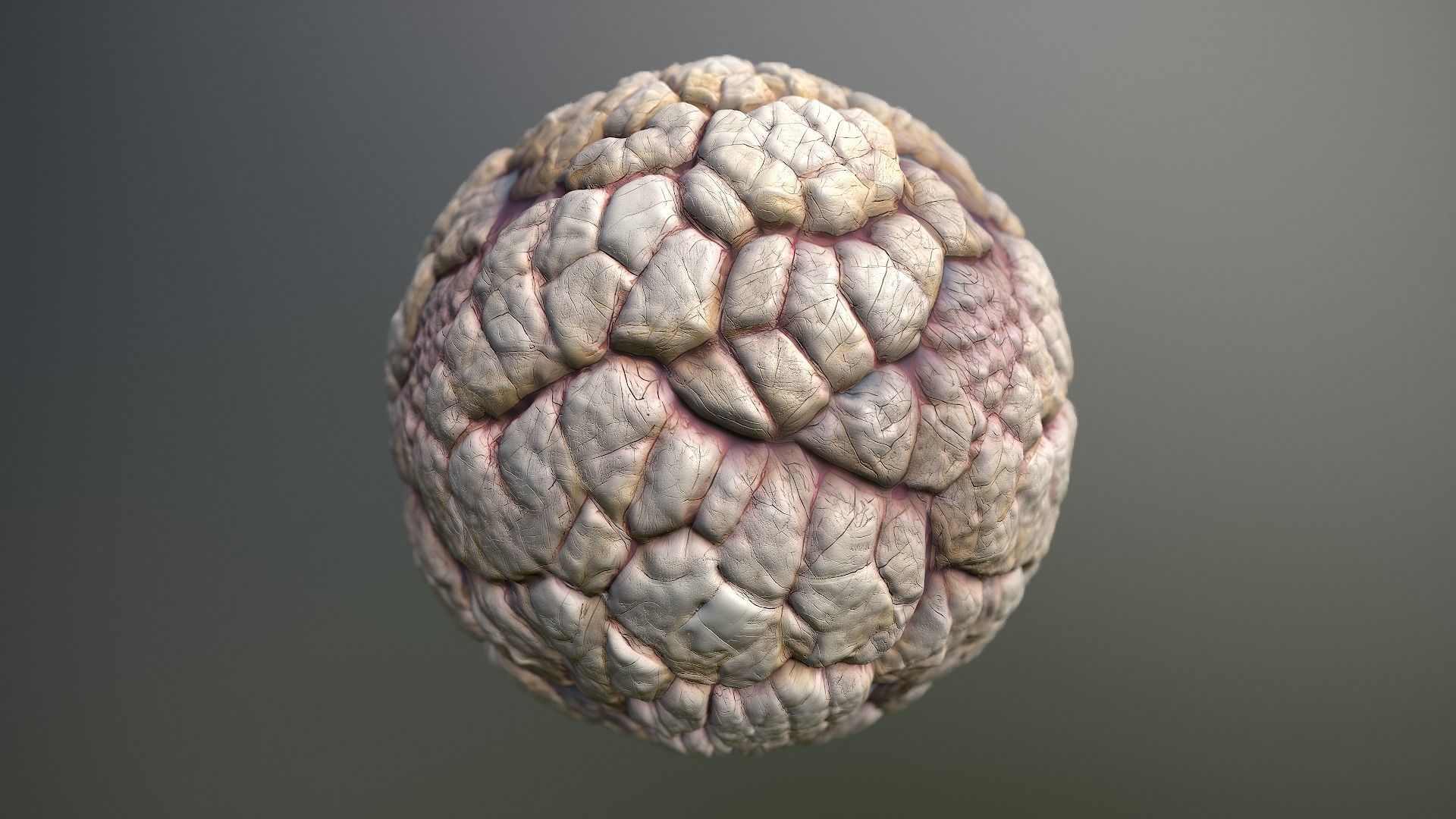 Material Skin Monster 40 Seamless PBR Texture Texture_13