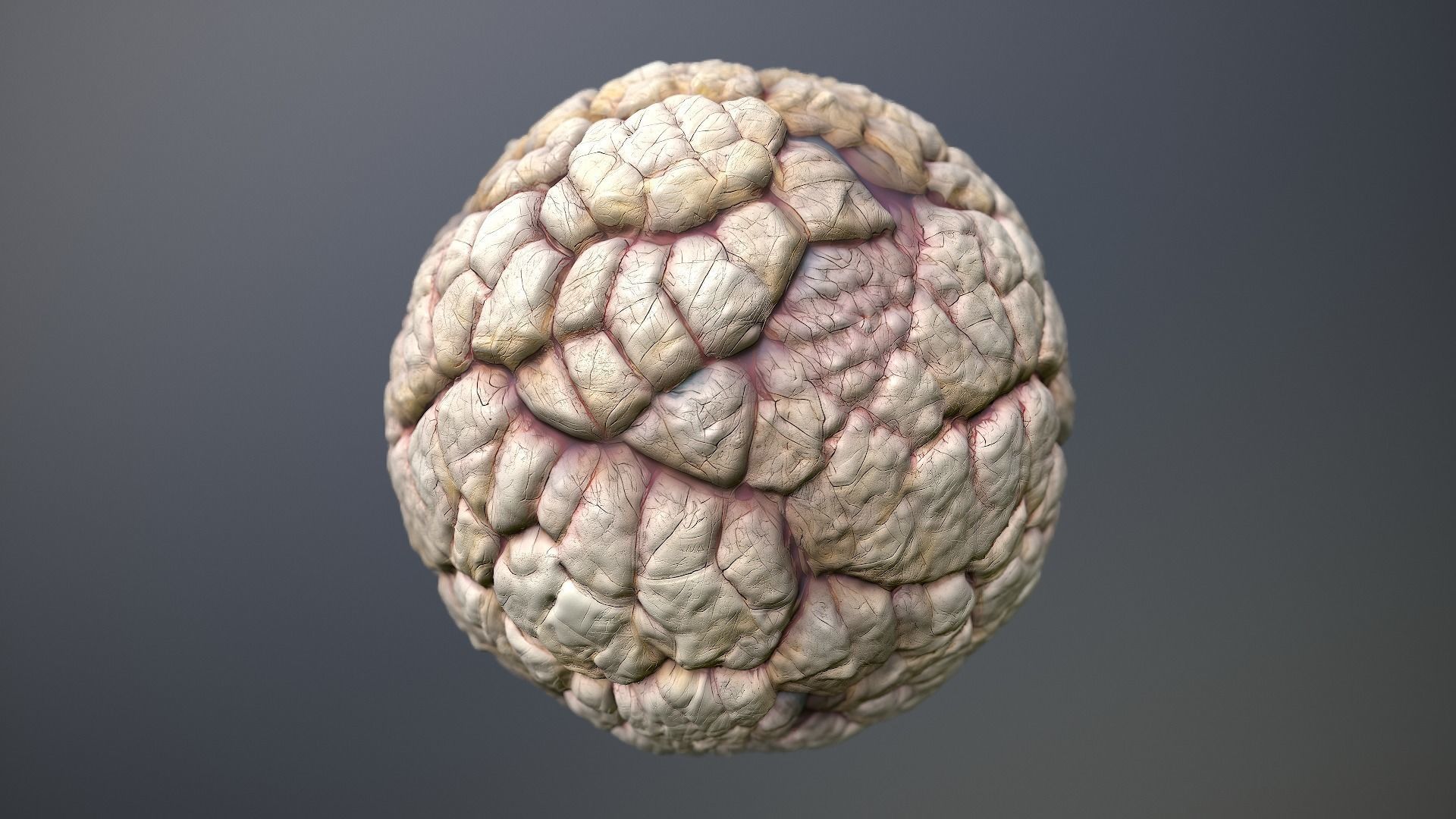 Material Skin Monster 40 Seamless PBR Texture Texture_10