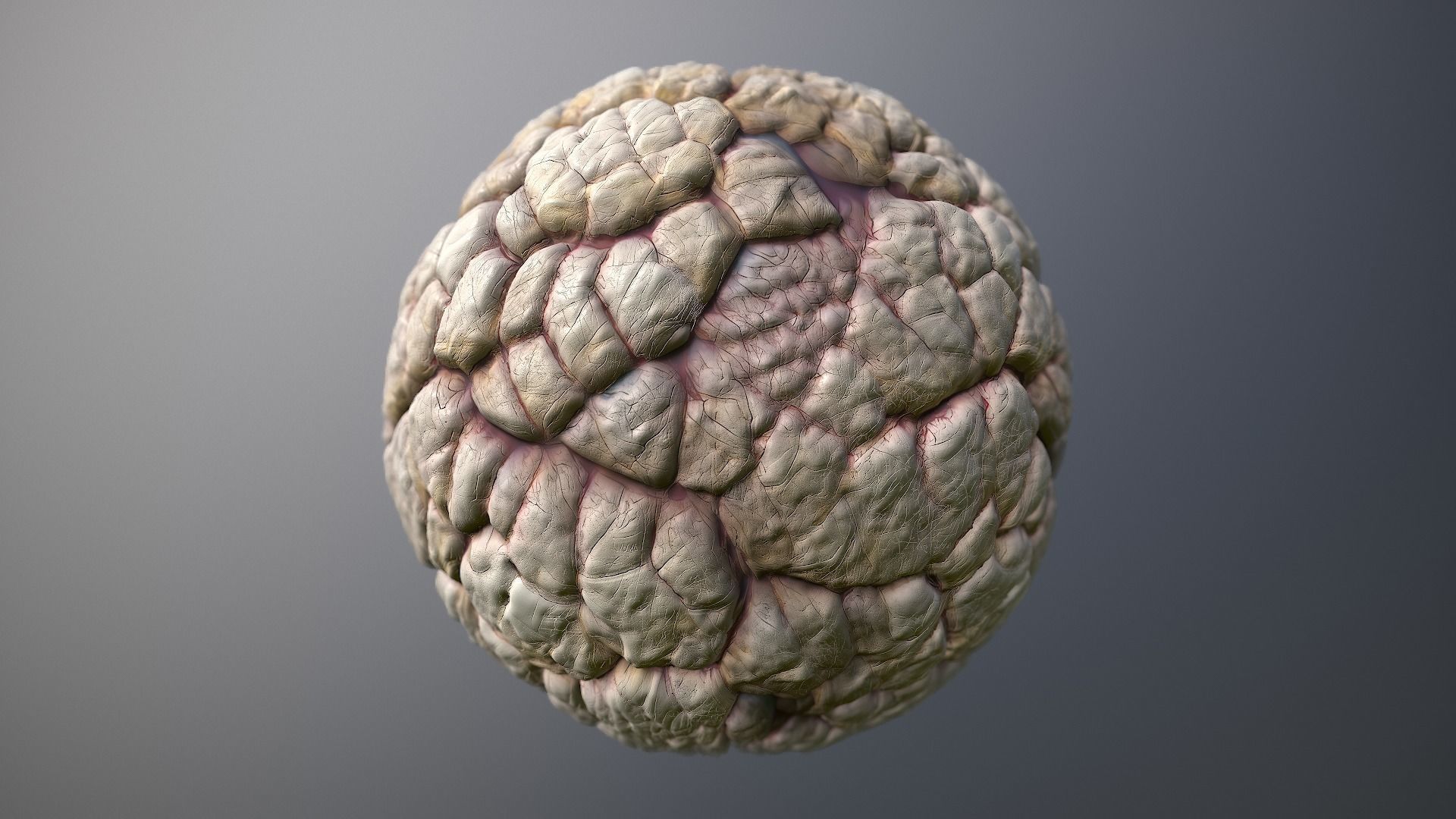 Material Skin Monster 40 Seamless PBR Texture Texture_8