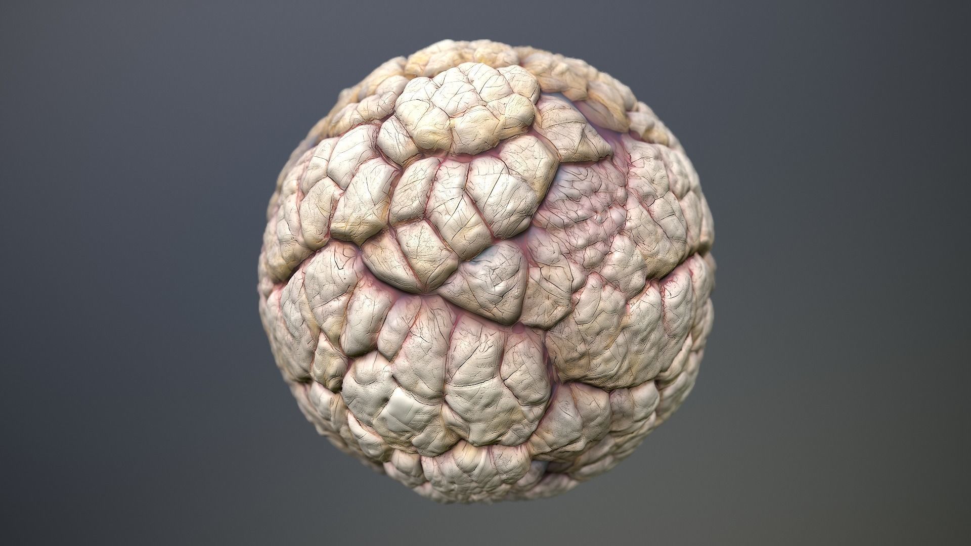Material Skin Monster 40 Seamless PBR Texture Texture_11