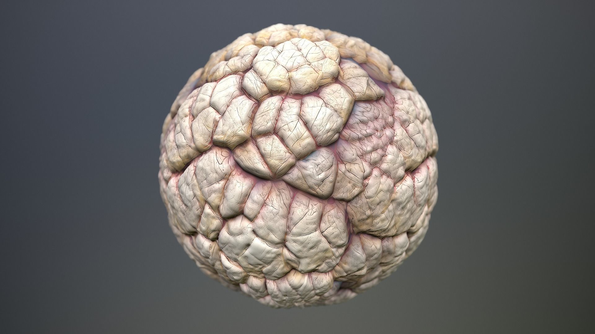 Material Skin Monster 40 Seamless PBR Texture Texture_12