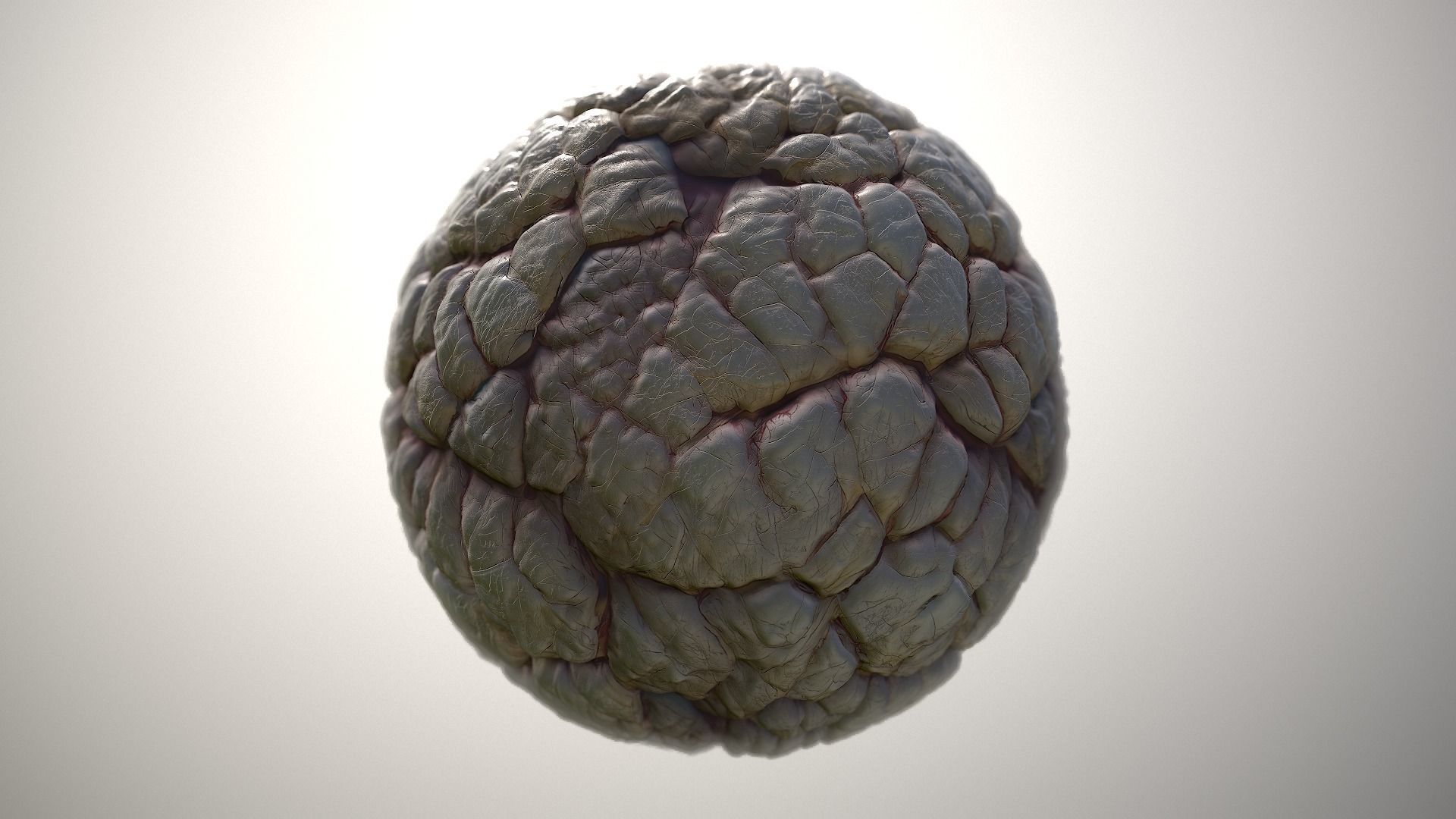 Material Skin Monster 40 Seamless PBR Texture Texture_3