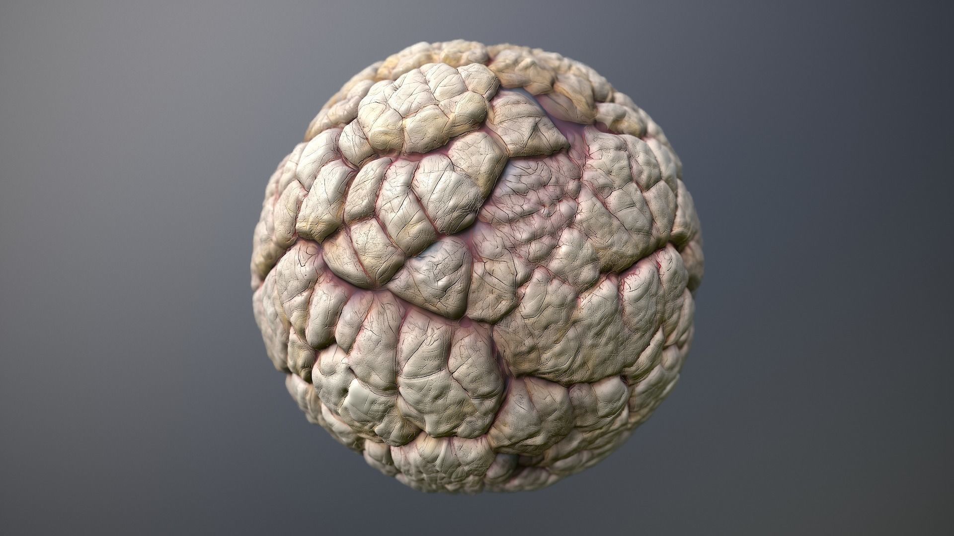Material Skin Monster 40 Seamless PBR Texture Texture_9