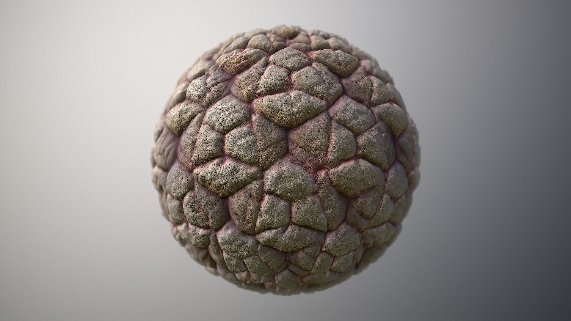 Material Skin Monster 35 Seamless PBR Texture Texture_6
