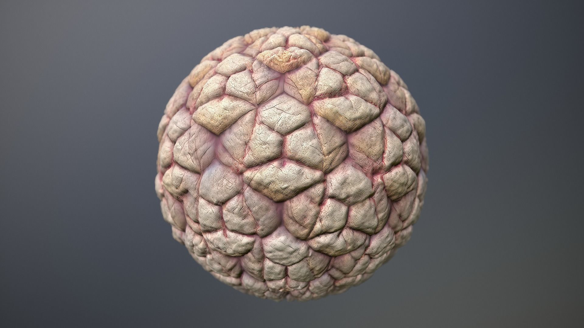 Material Skin Monster 35 Seamless PBR Texture Texture_10
