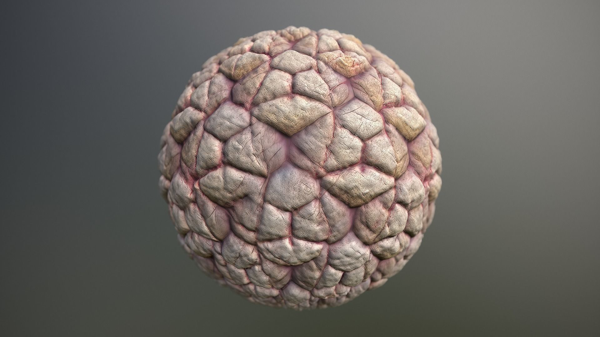 Material Skin Monster 35 Seamless PBR Texture Texture_13