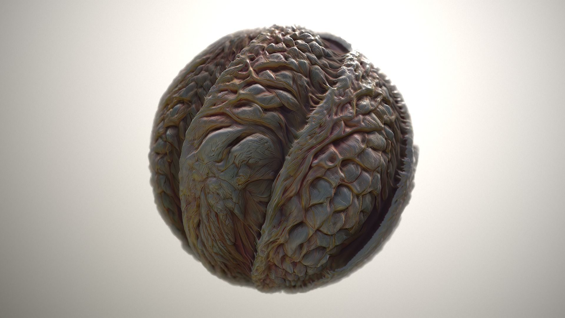 Material Skin Monster 32 Seamless PBR Texture Texture_20