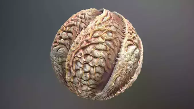 Material Skin Monster 32 Seamless PBR Texture Texture