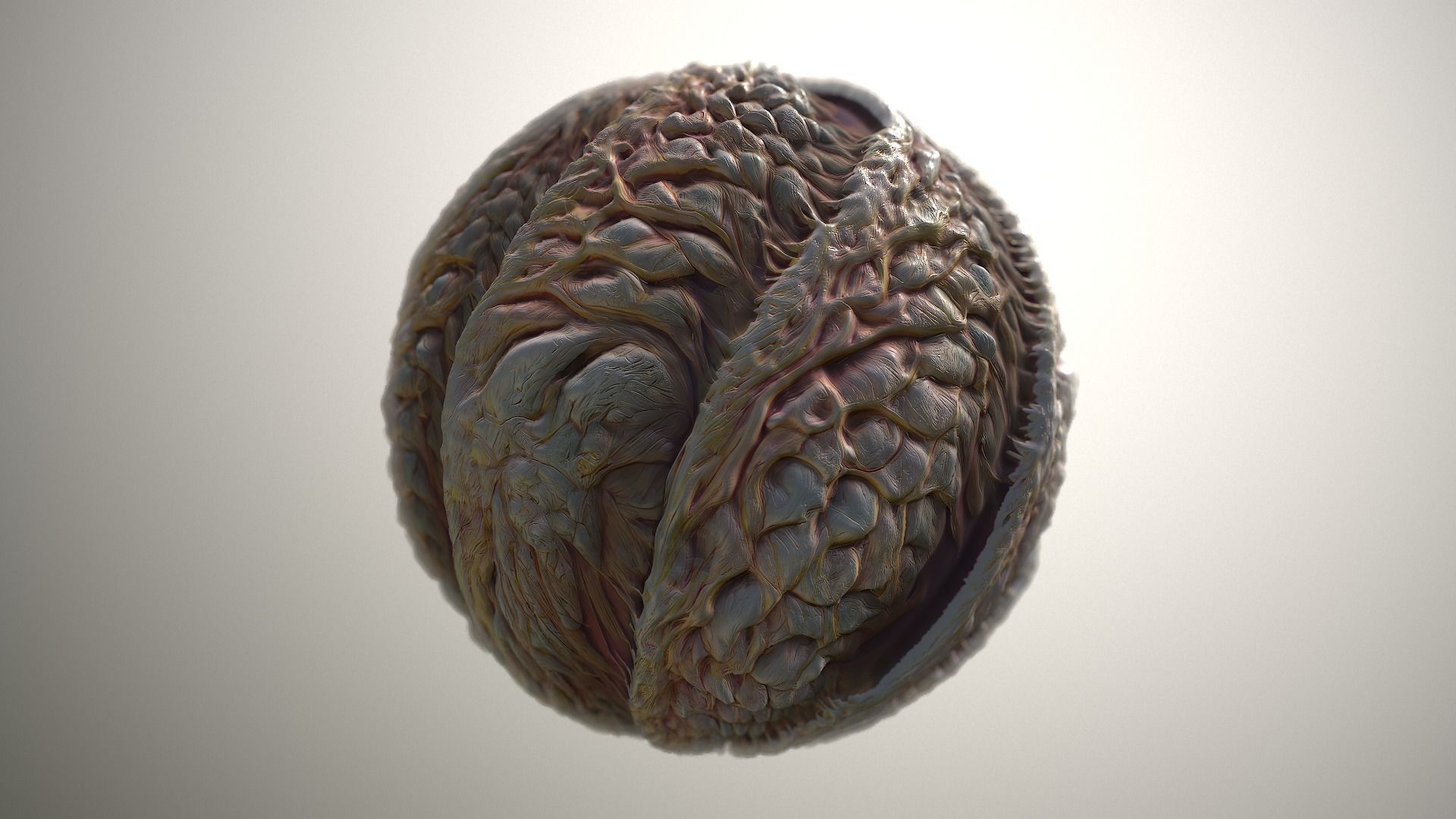 Material Skin Monster 32 Seamless PBR Texture Texture_19