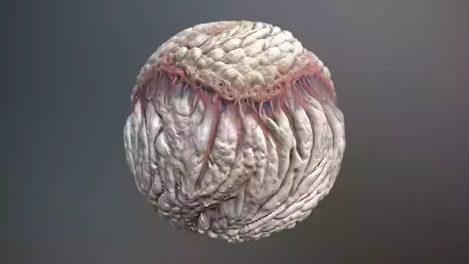 Material Skin Monster 31 Seamless PBR Texture Texture