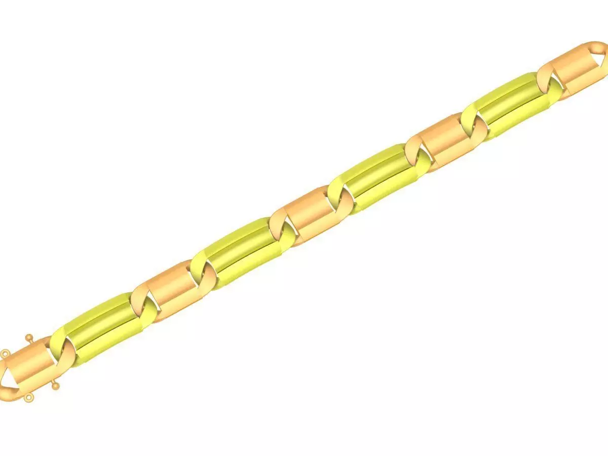 Luxury Two Tone Chain Bracelet Jewelry 3D Model 4197 3D print model