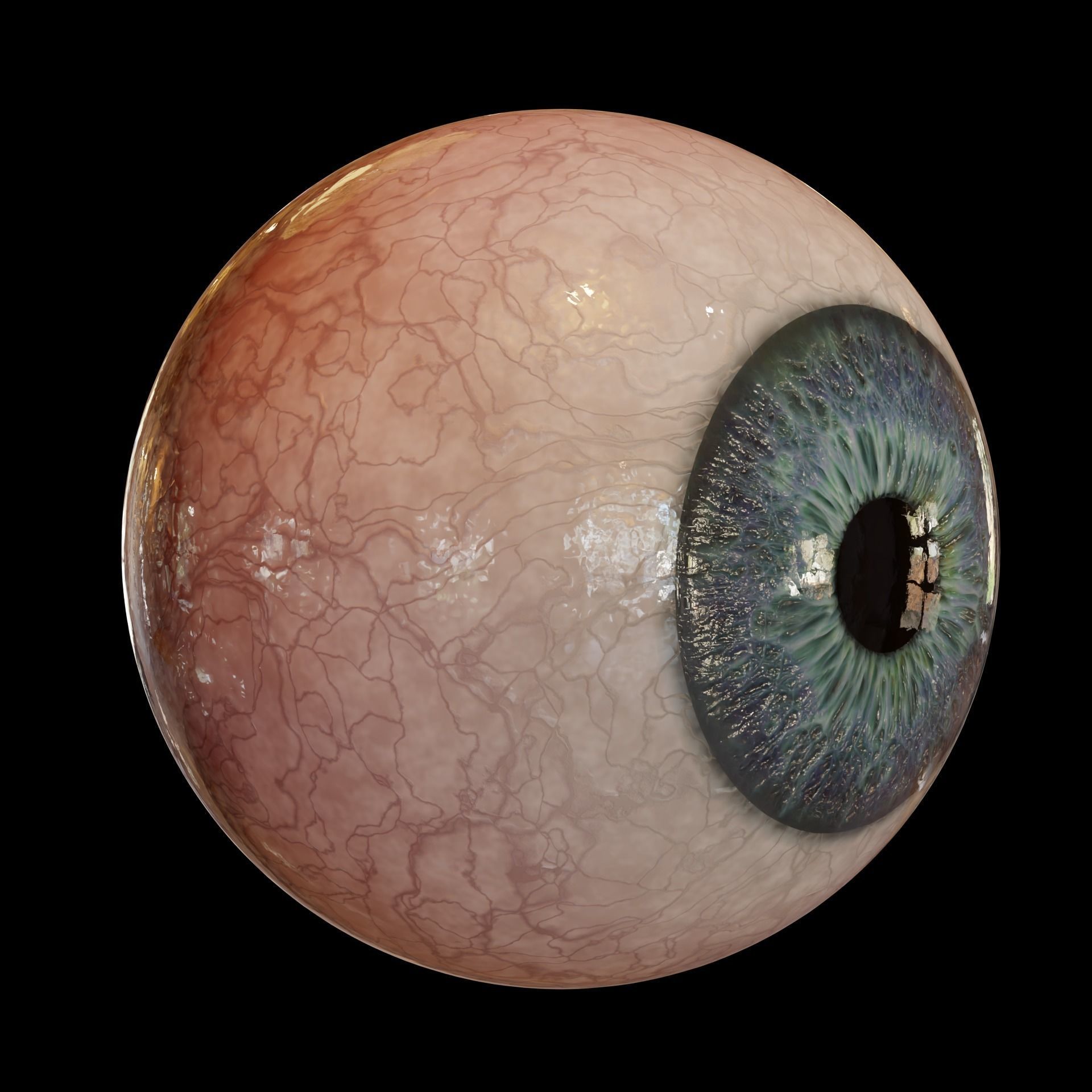 Hyper-Realistic Eye Rig - Blender 3D model_4