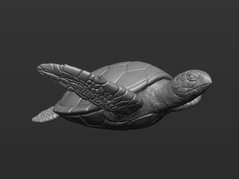 Sea turtle 3D print model