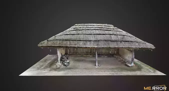 Thatched - Roof House 