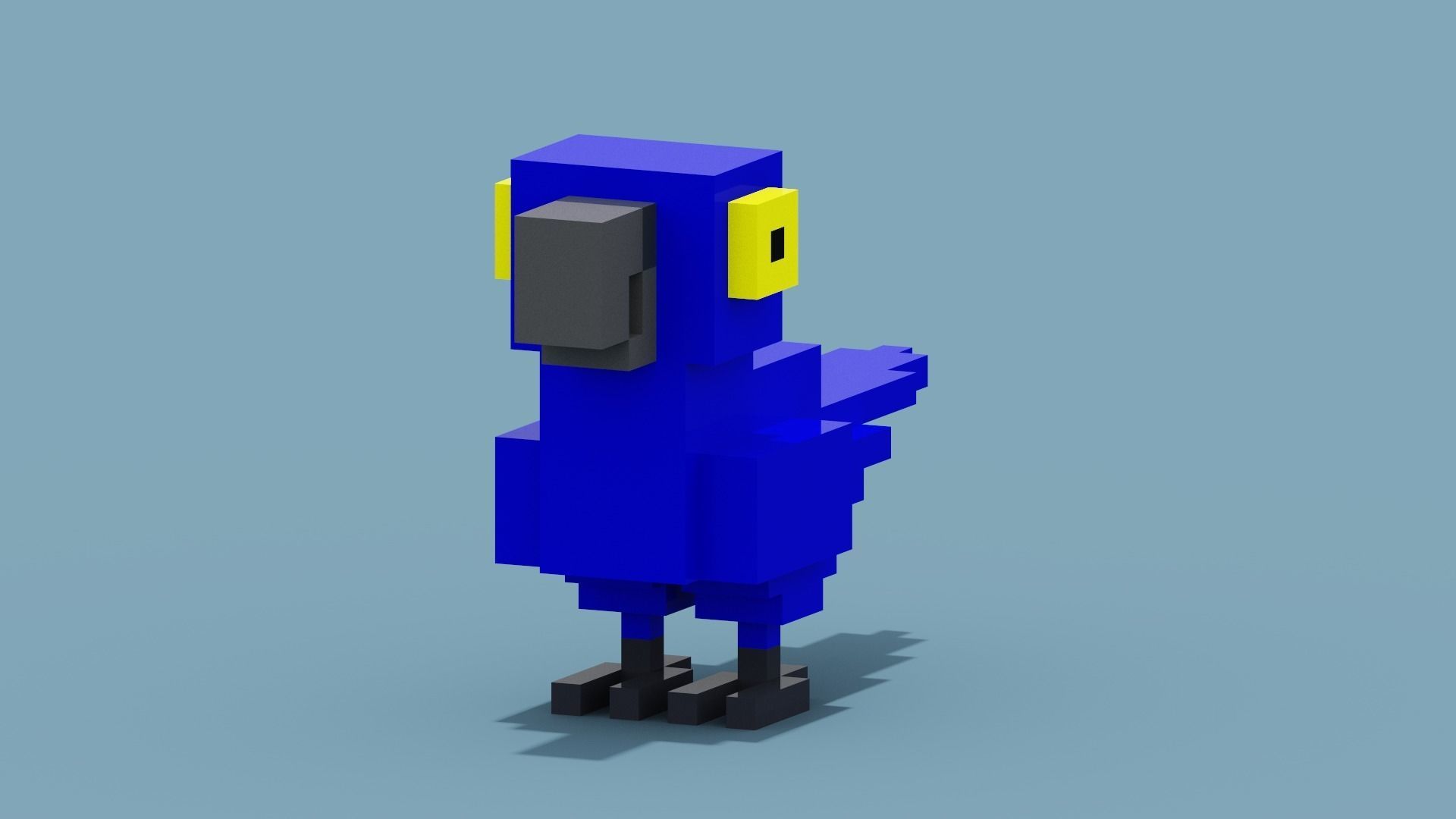 Voxel Blue Parrot Low-poly 3D model_10