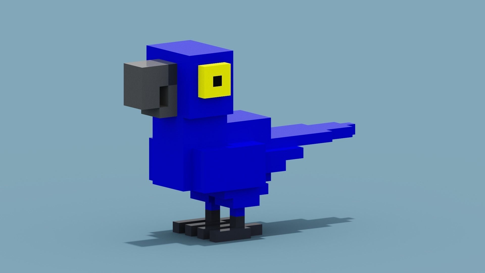 Voxel Blue Parrot Low-poly 3D model_11