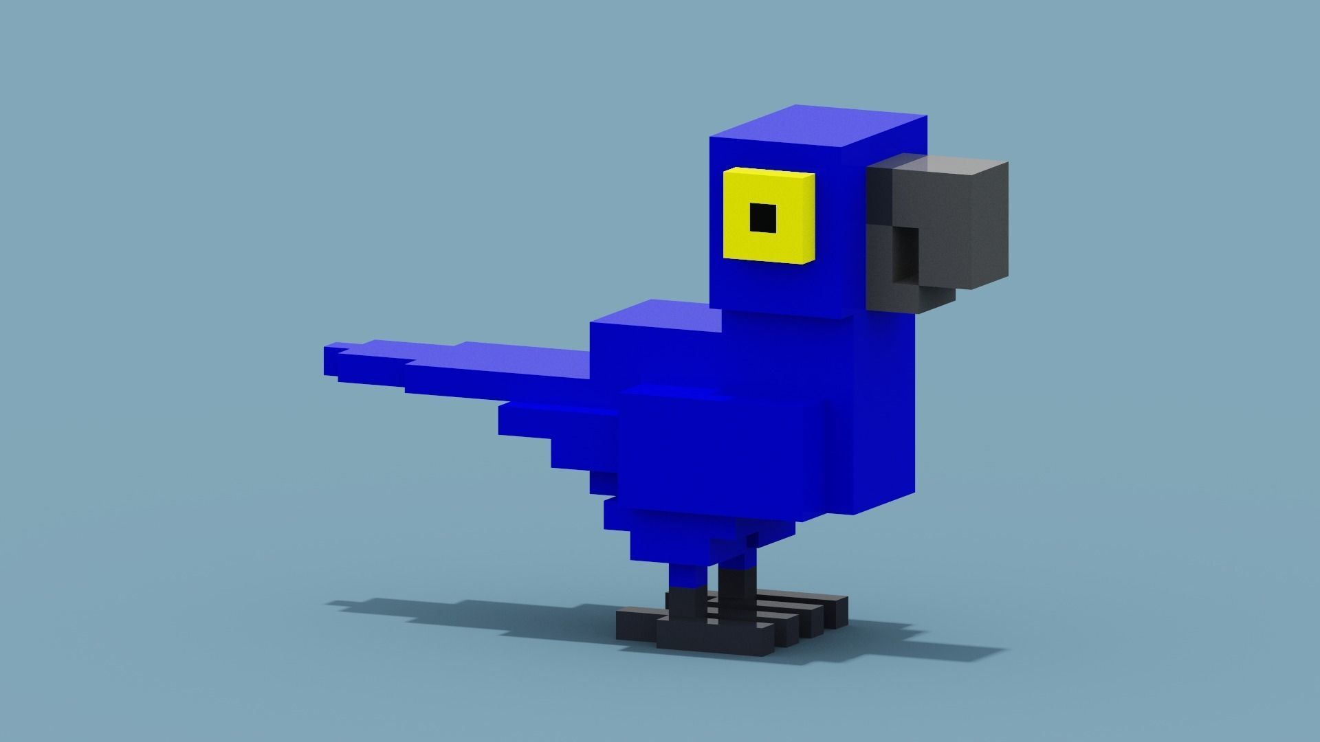 Voxel Blue Parrot Low-poly 3D model_7