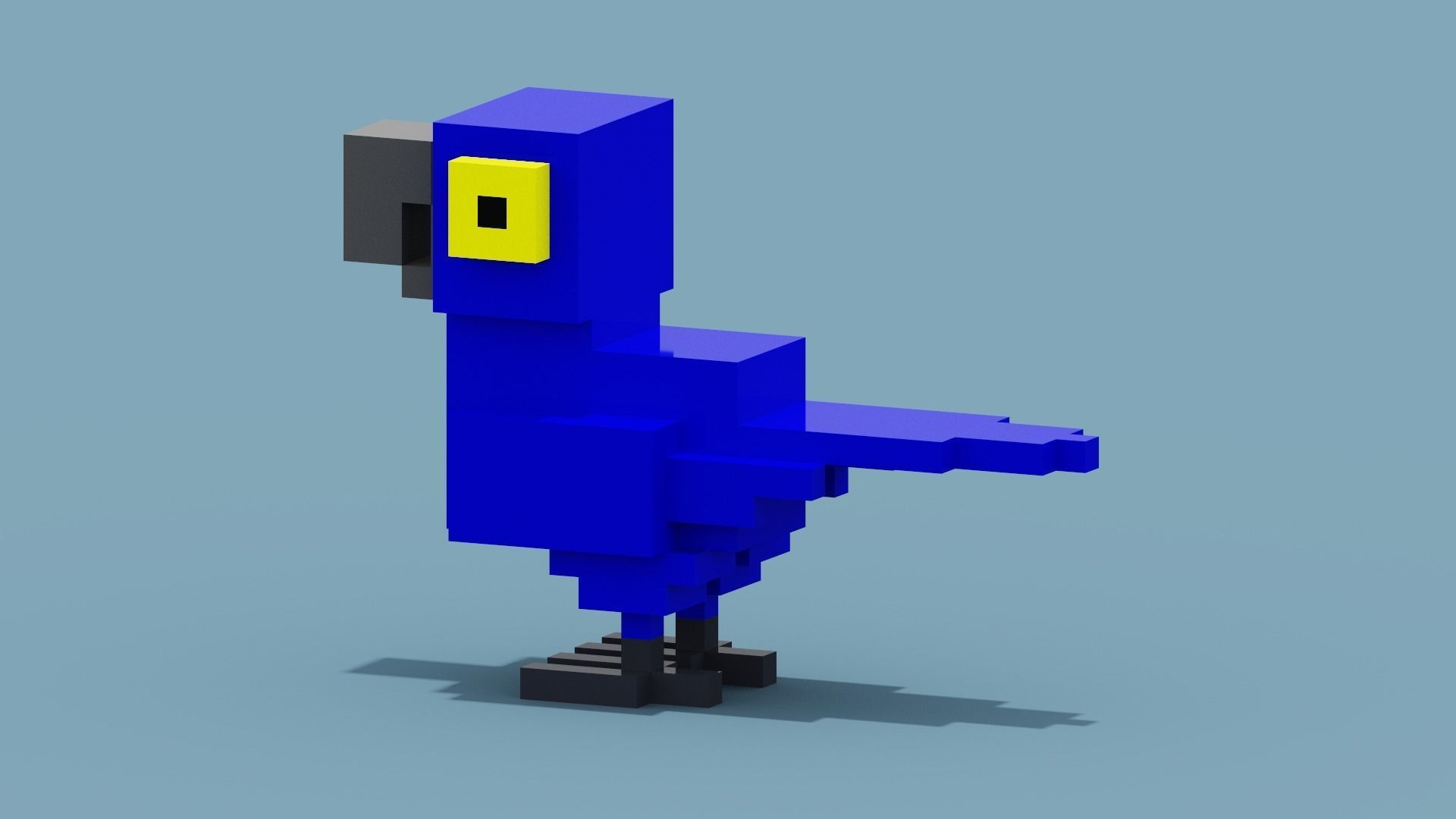 Voxel Blue Parrot Low-poly 3D model_1