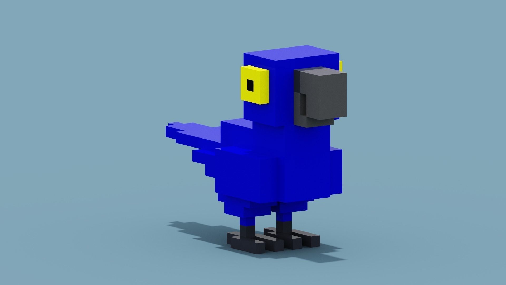 Voxel Blue Parrot Low-poly 3D model_8