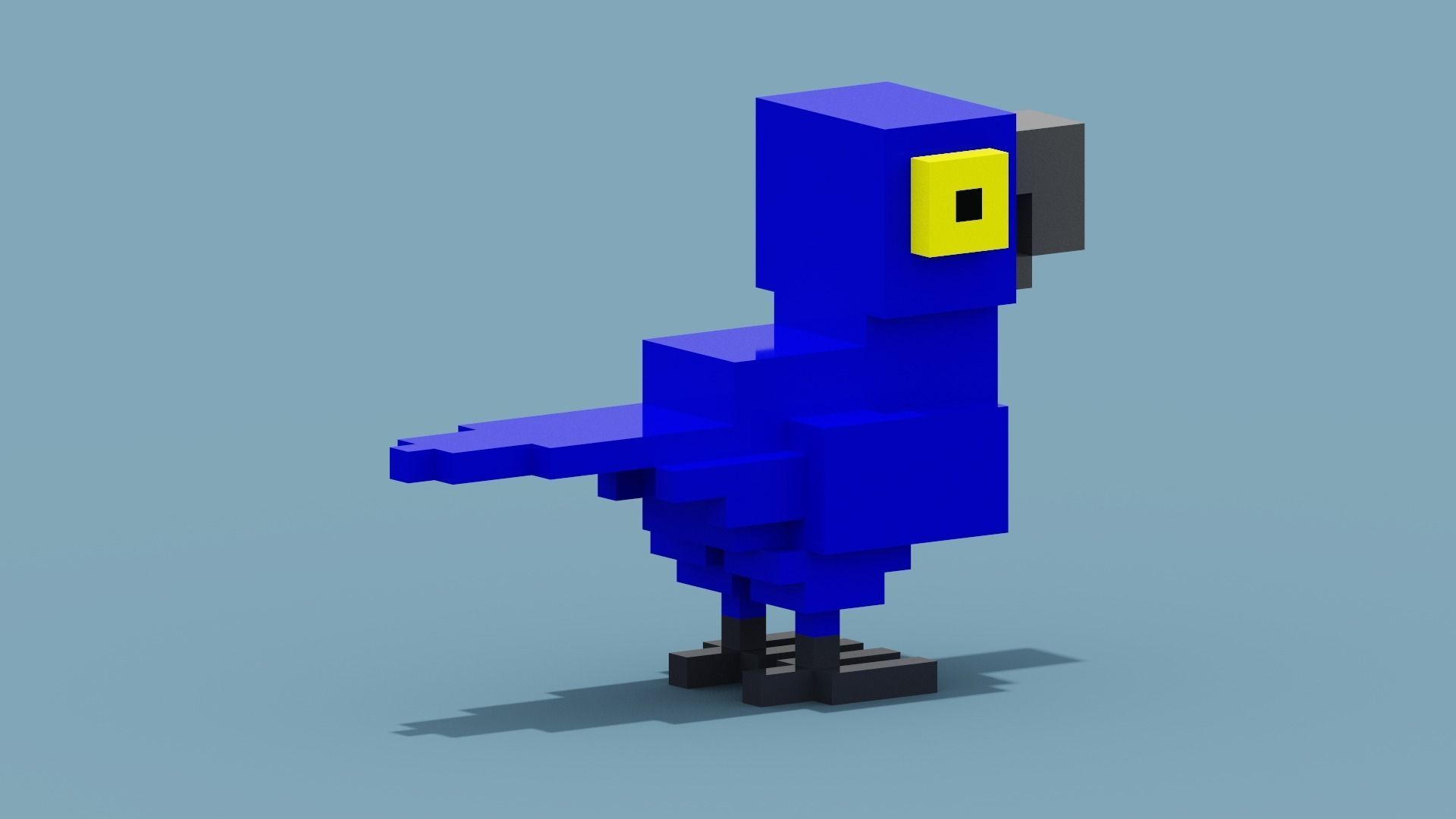 Voxel Blue Parrot Low-poly 3D model_5