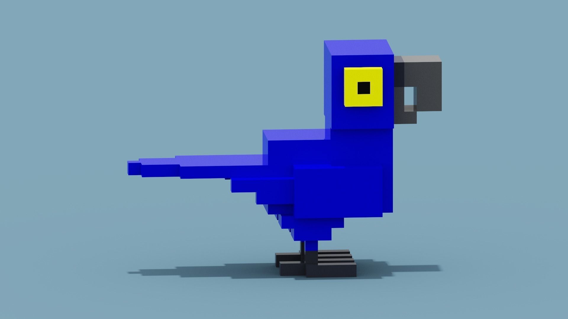 Voxel Blue Parrot Low-poly 3D model_6