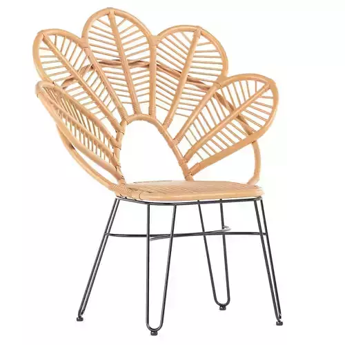 Natural Brown Rattan and Black Metal Accent Chair