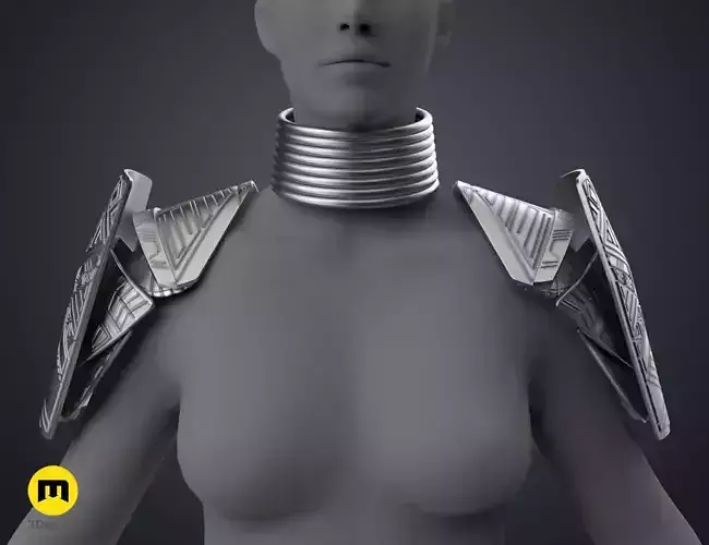 Dora Milaje Armor - Wakanda Forever