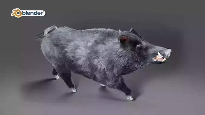 Fur Wild Boar V08 Rigged and Animation Low-poly 3D model