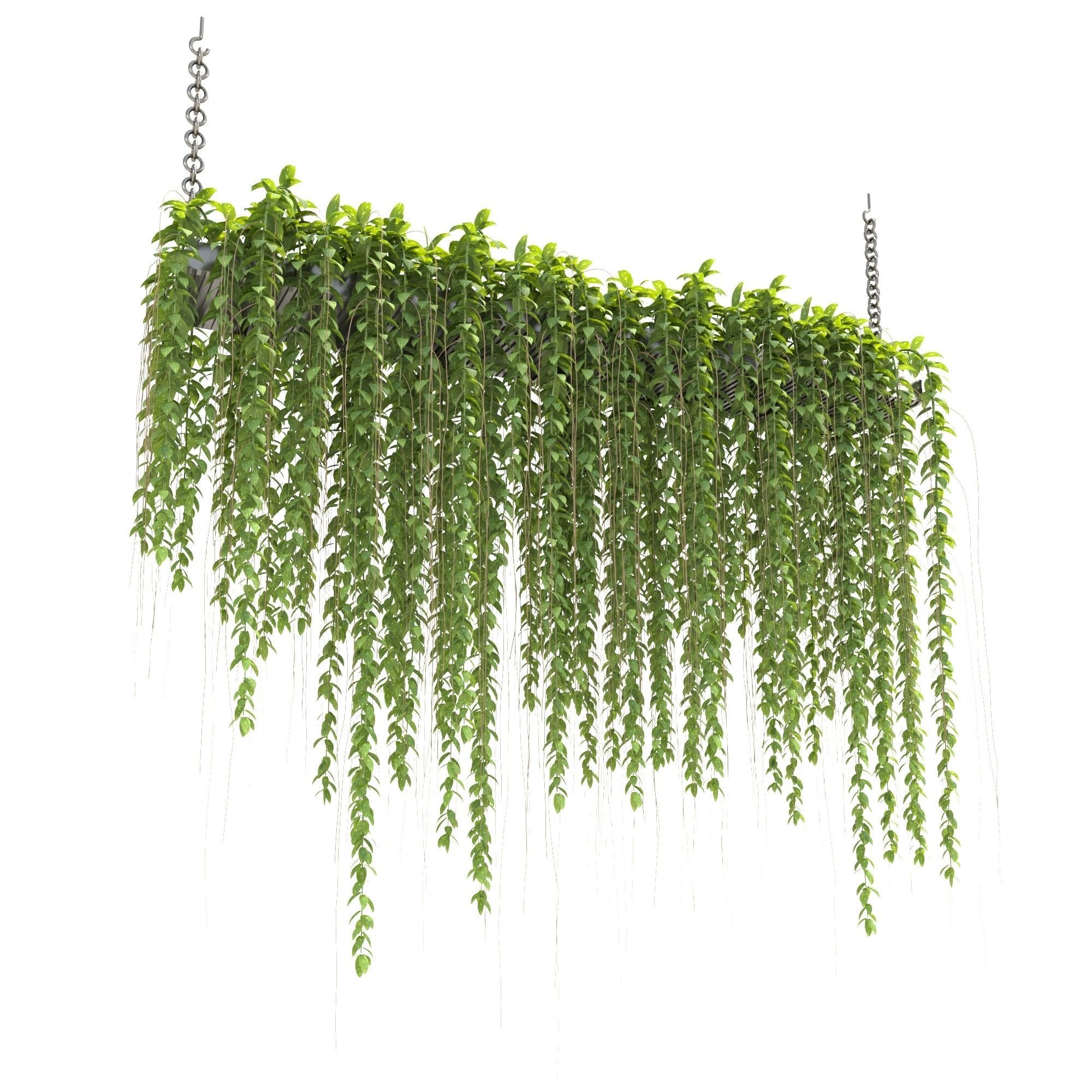 Plants Collection 29 3D model_2
