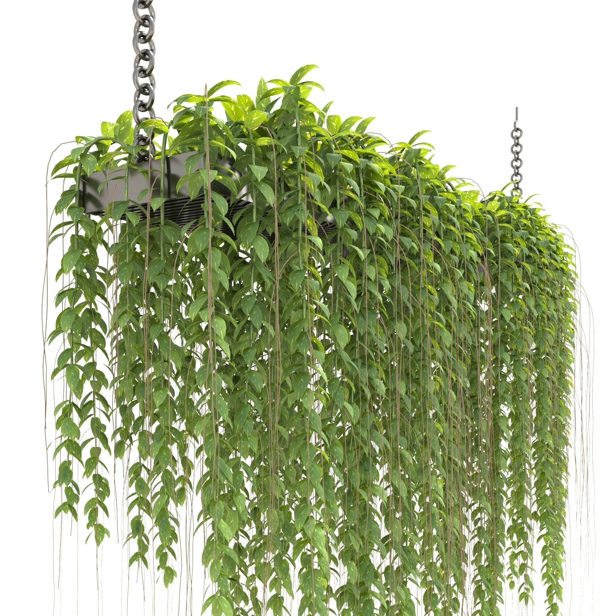 Plants Collection 29 3D model_1