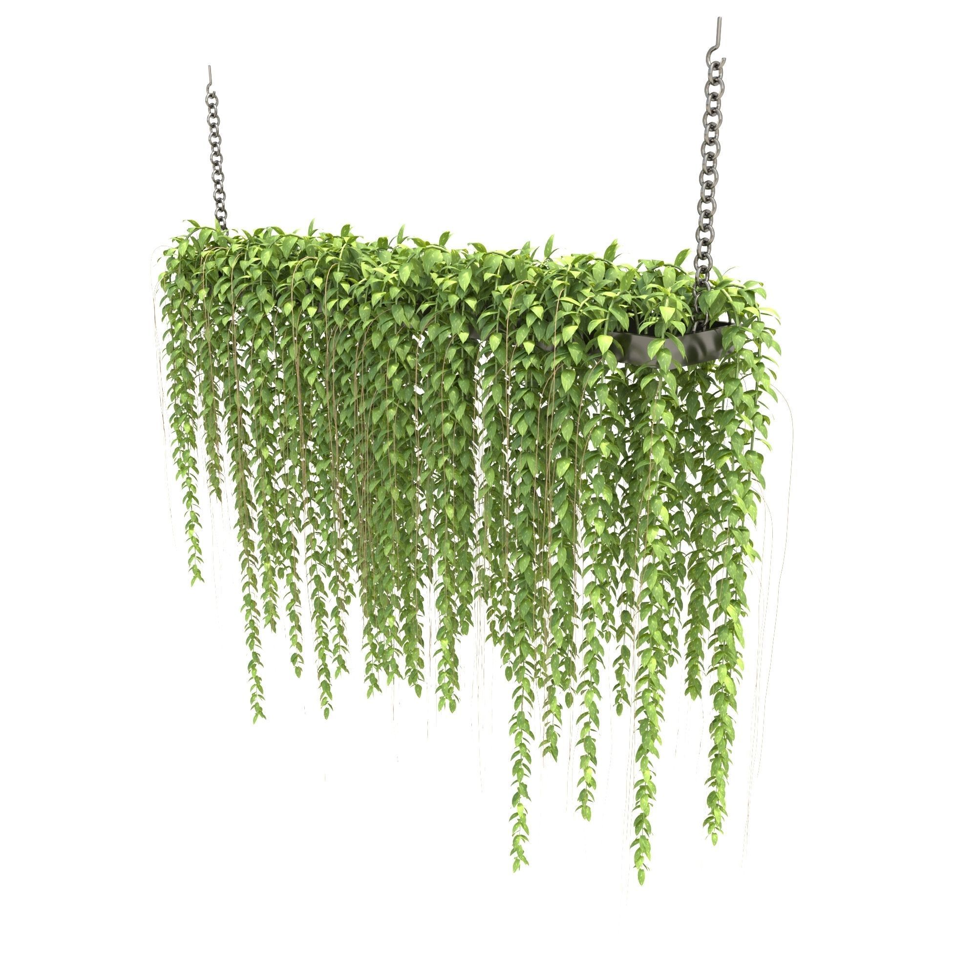 Plants Collection 29 3D model_3
