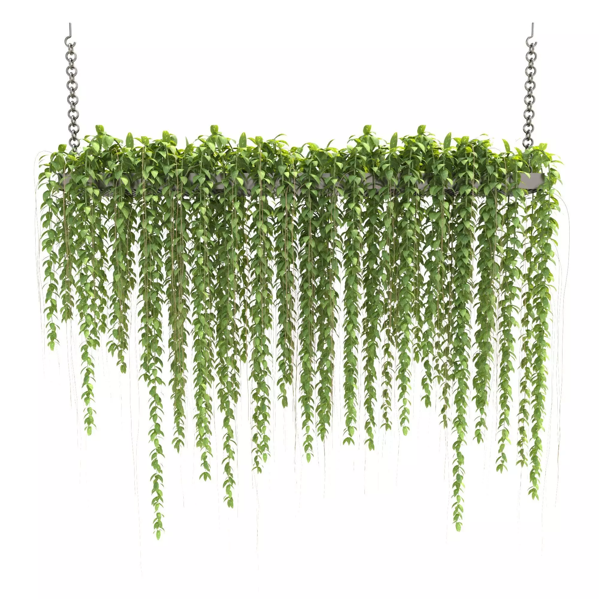 Plants Collection 29 3D model_0