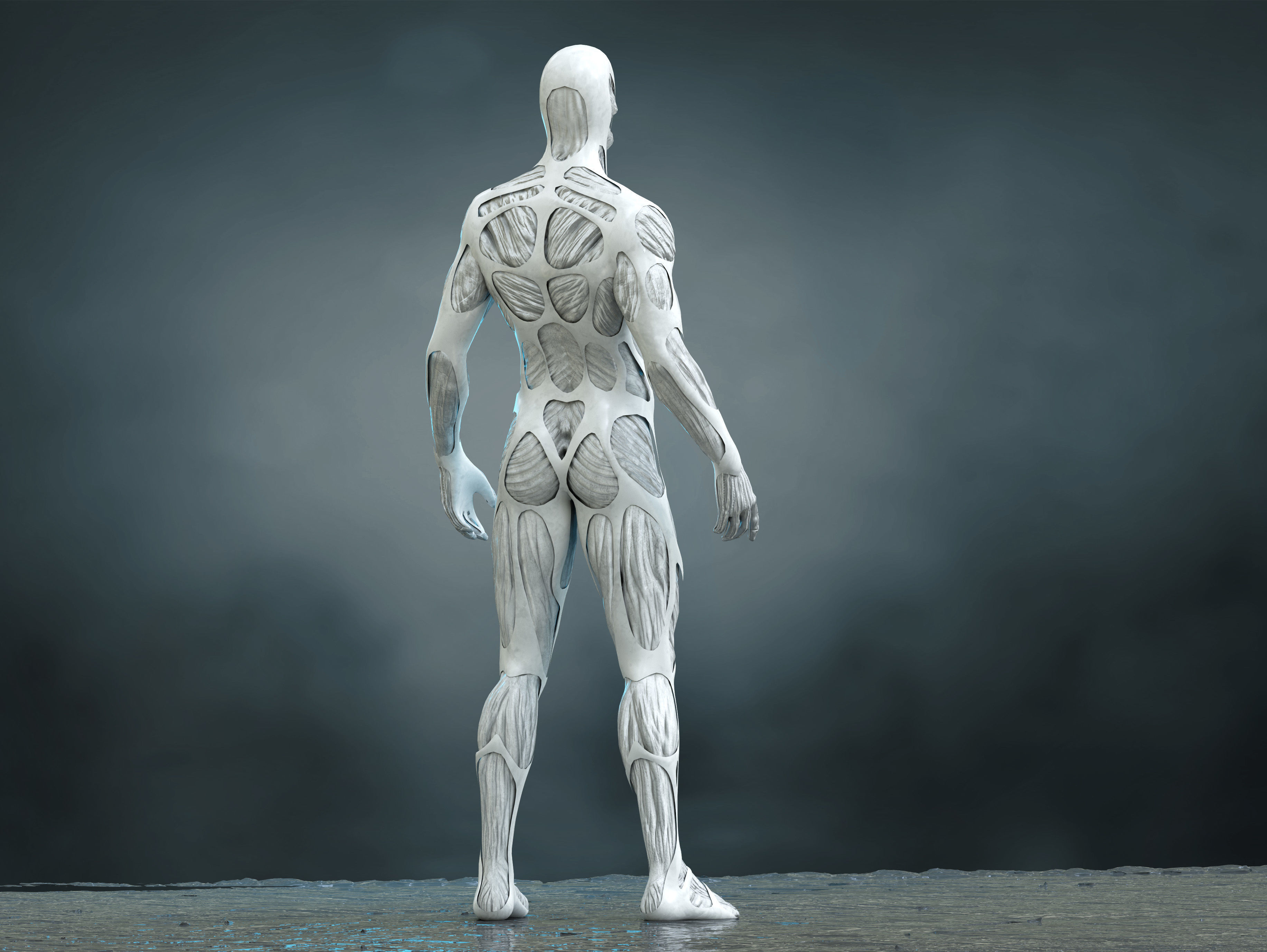 Drone Host Westworld Low-poly 3D model_5