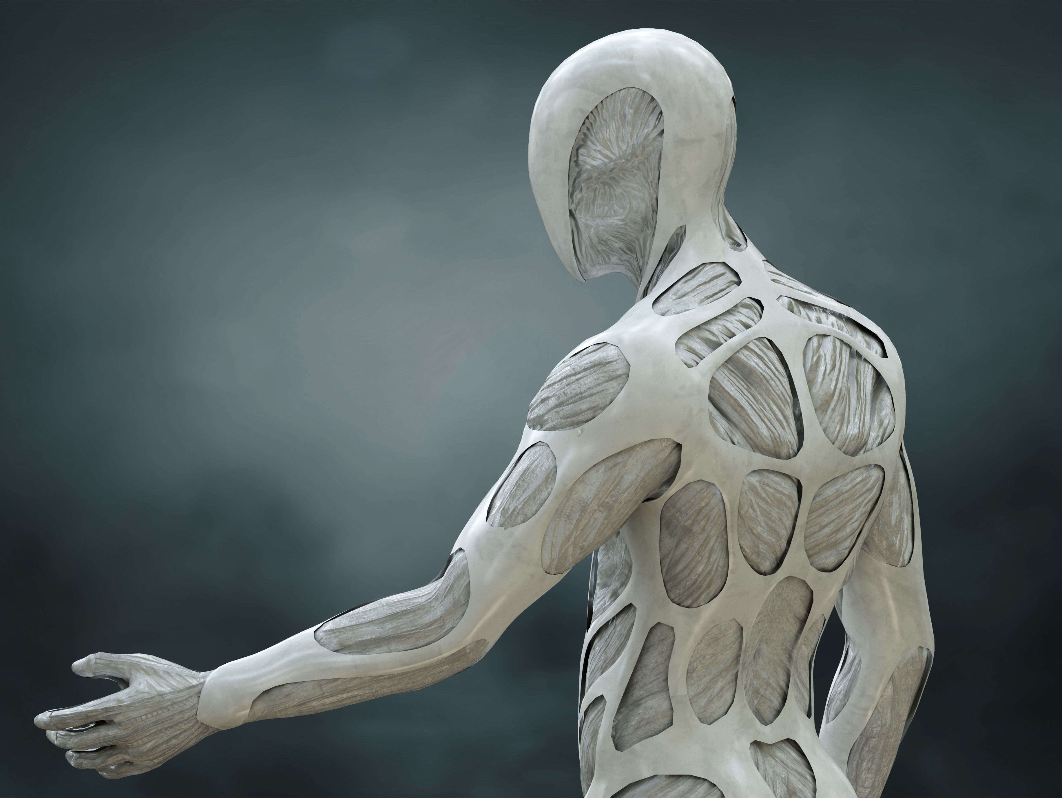 Drone Host Westworld Low-poly 3D model_4