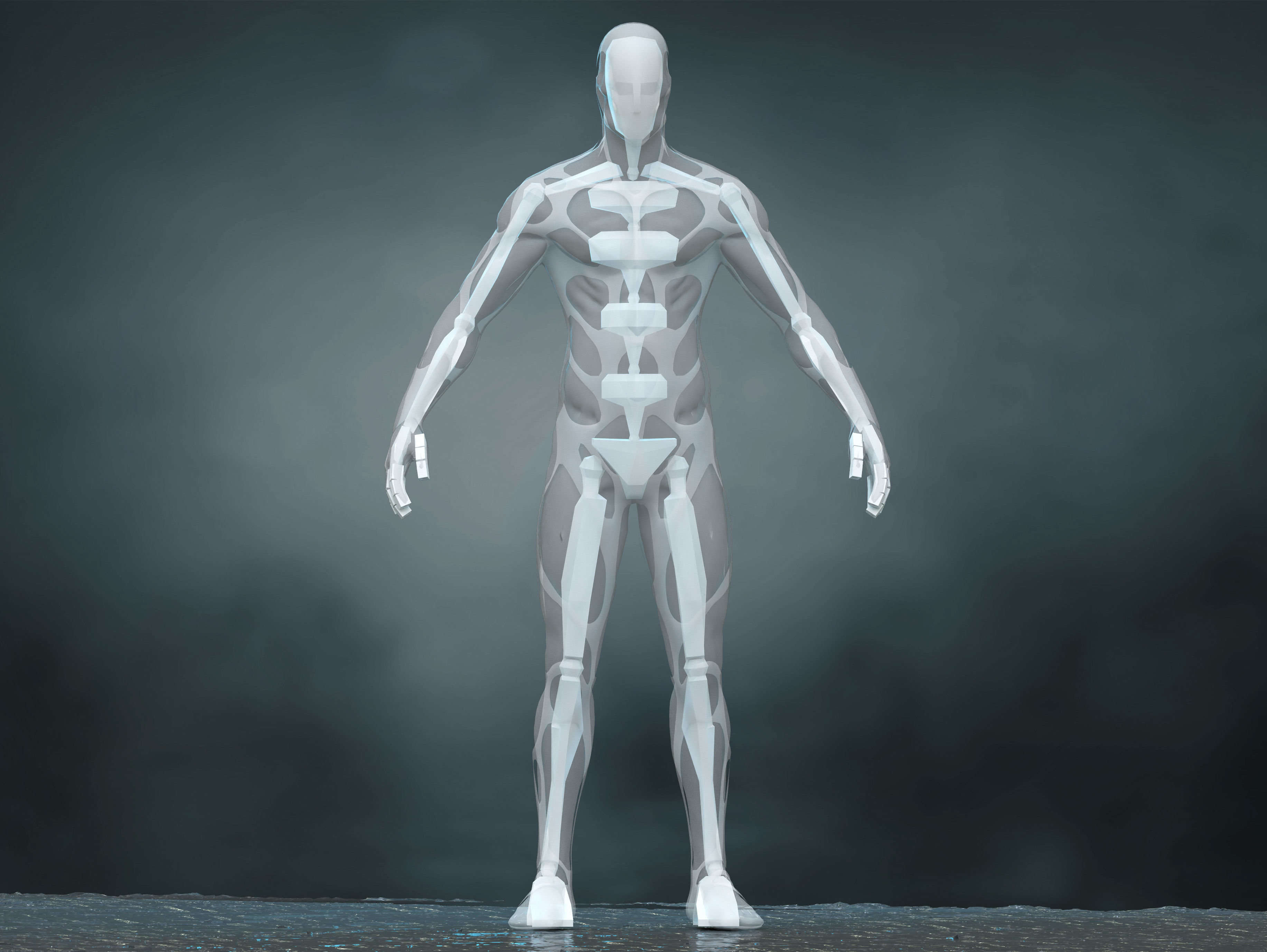 Drone Host Westworld Low-poly 3D model_8