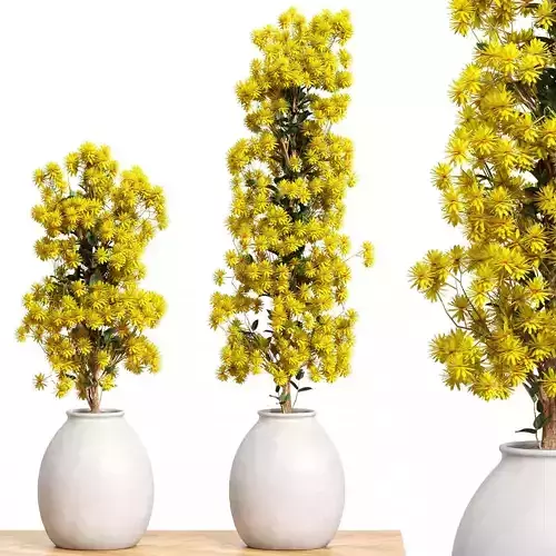 Flowers Set 2 jacaranda tree vase - jacaranda tree vase