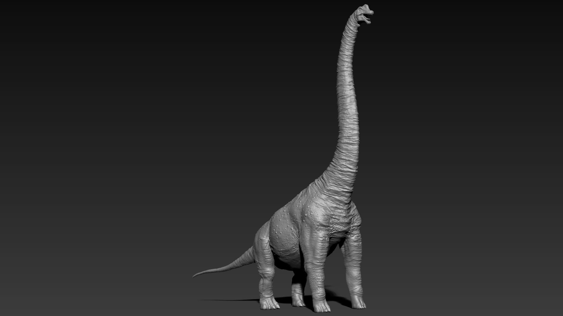 Dinosaur Brachiosaurus Sculpt Project 3D model_15