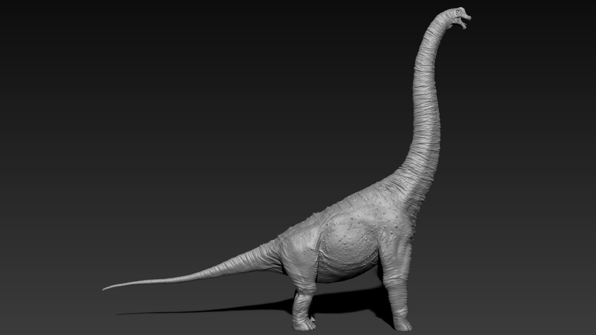 Dinosaur Brachiosaurus Sculpt Project 3D model_14