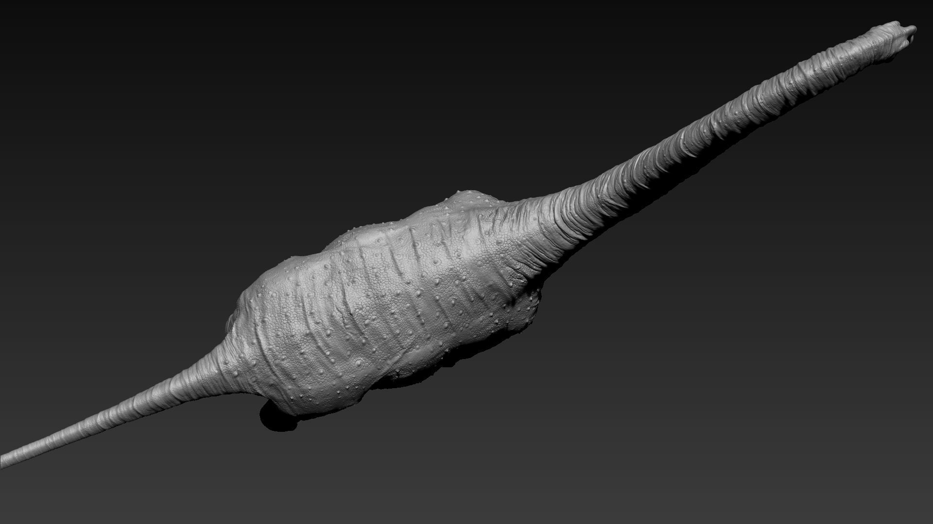 Dinosaur Brachiosaurus Sculpt Project 3D model_13