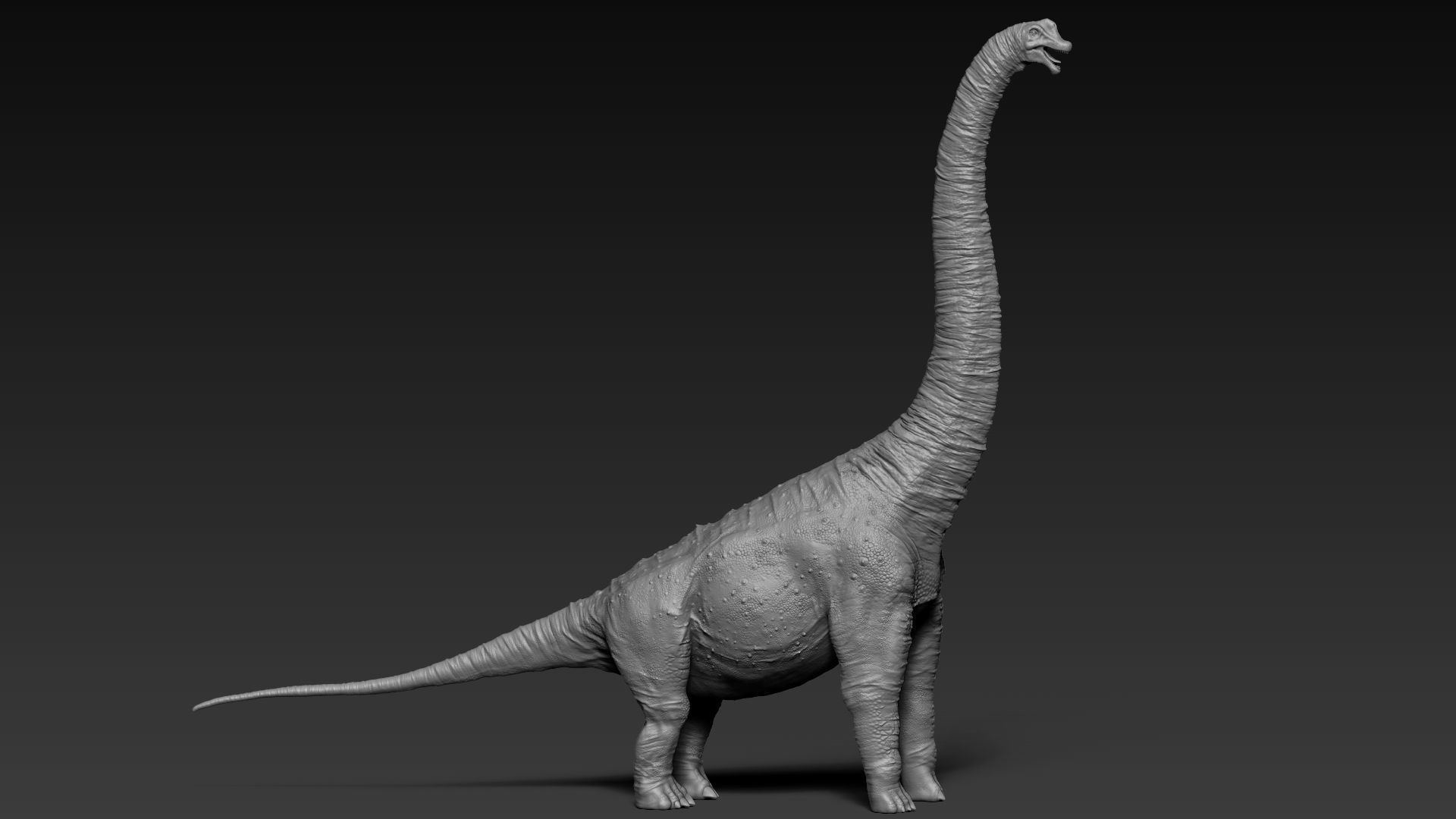Dinosaur Brachiosaurus Sculpt Project 3D model_7