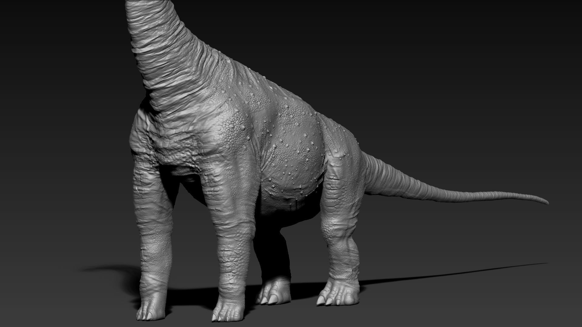 Dinosaur Brachiosaurus Sculpt Project 3D model_10